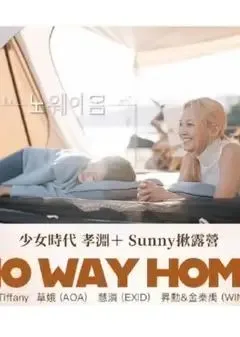 No Way Home海报