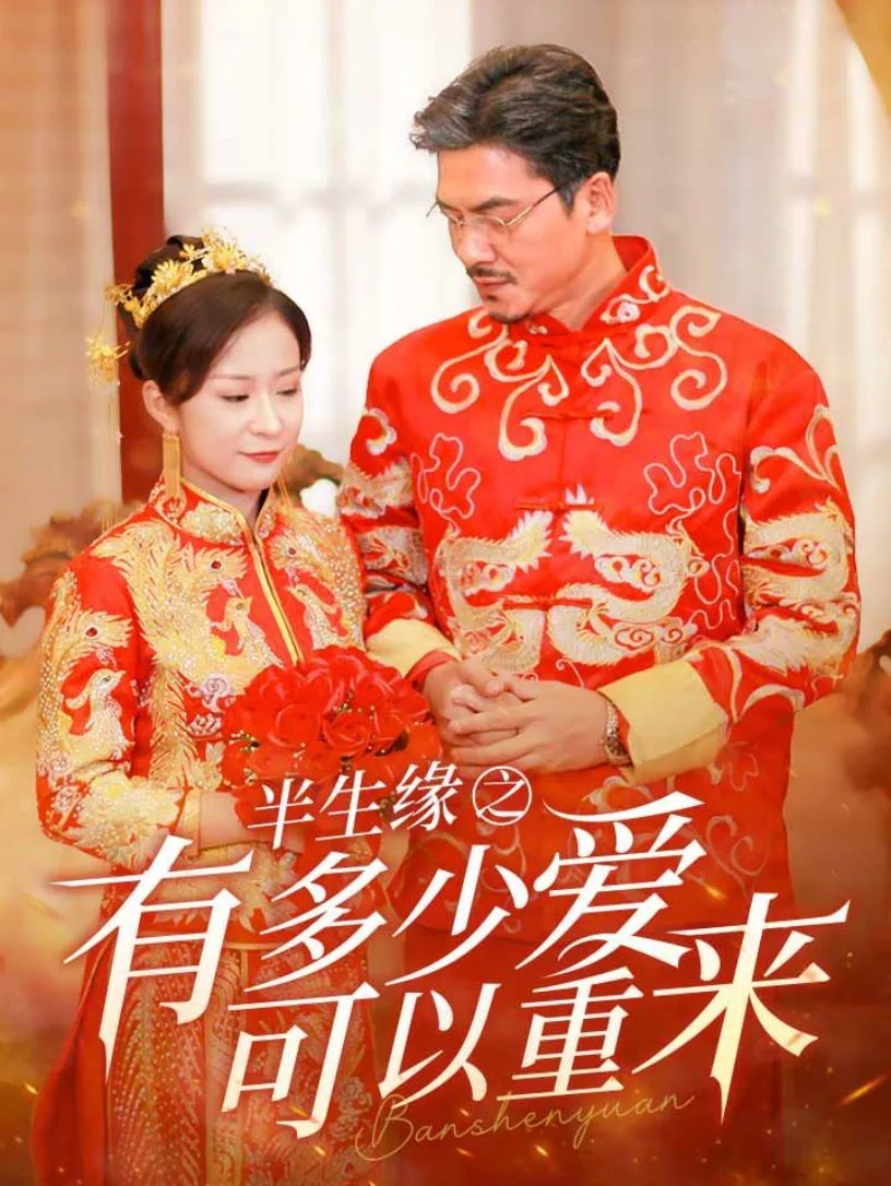 半生缘之有多少爱可以重来海报