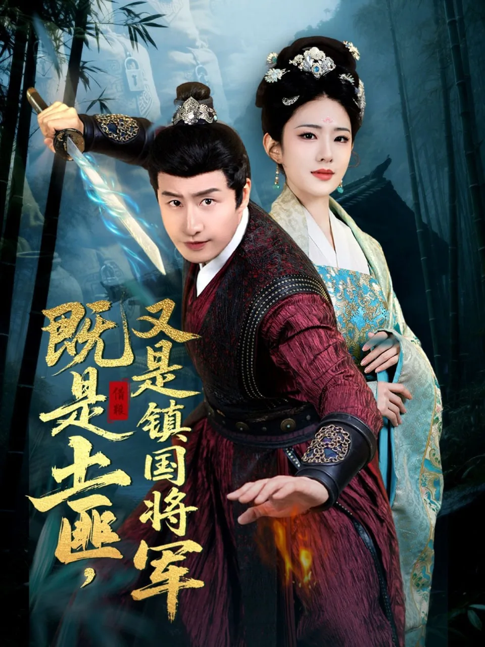 既是土匪，又是镇国将军海报
