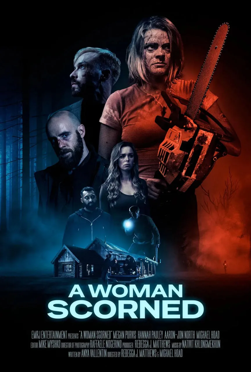 被轻视的女人海报
