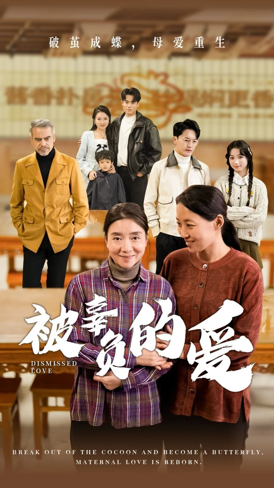 被辜负的爱海报