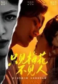 只见梅花不见人海报