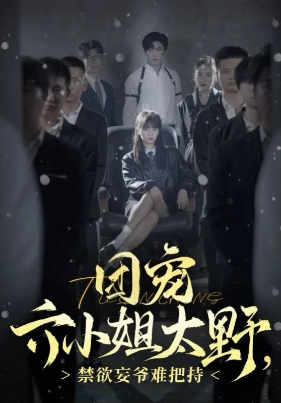 团宠六小姐太野，禁欲王爷难把持海报