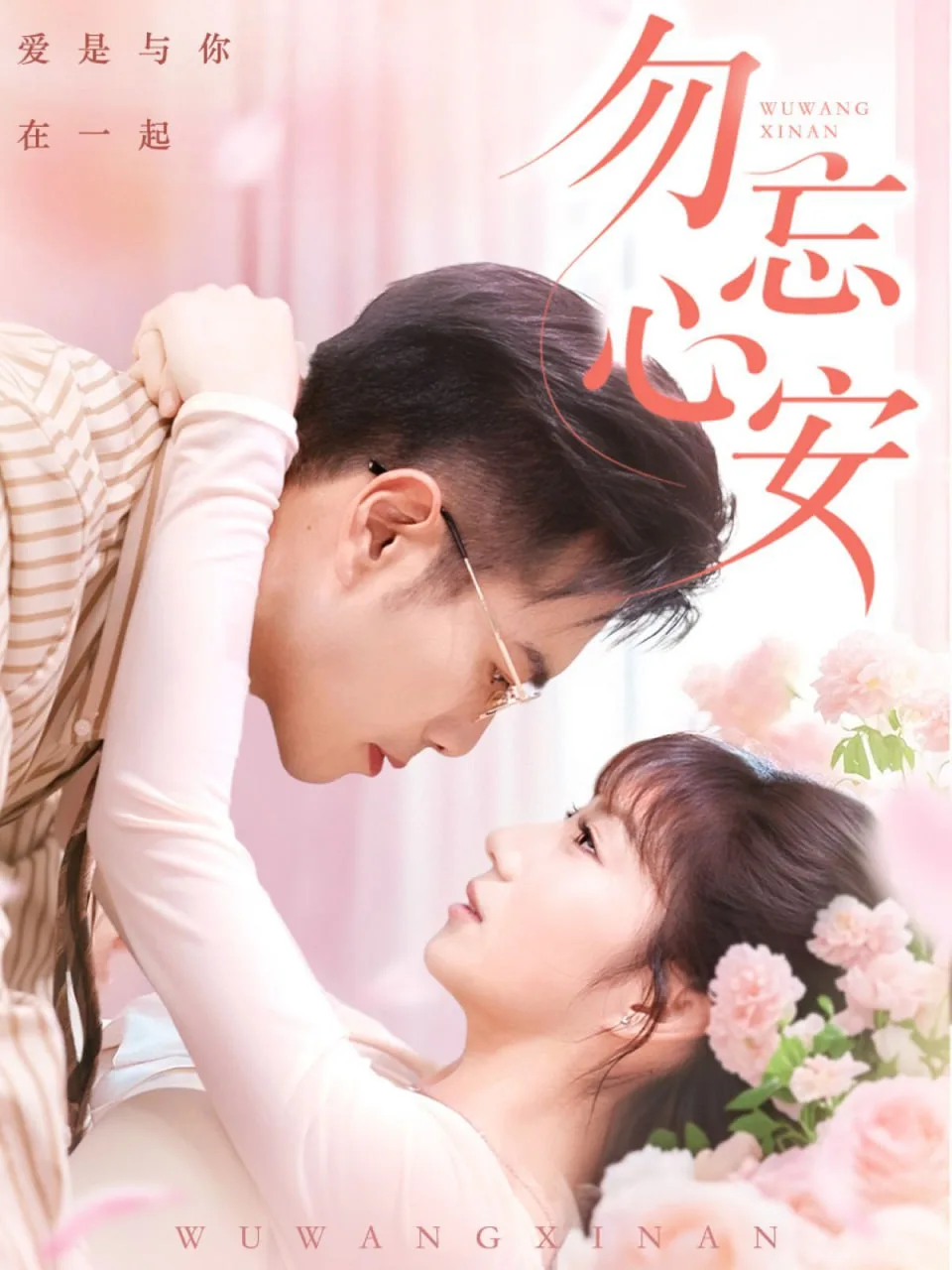 勿忘心安海报