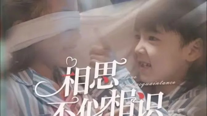 相思不似相识海报