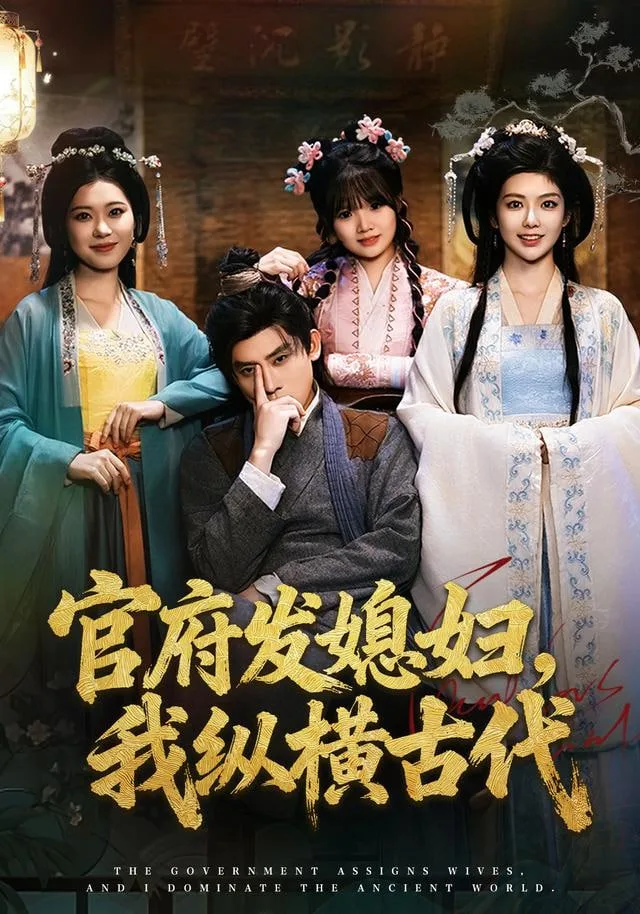 官府发媳妇，我纵横古代海报