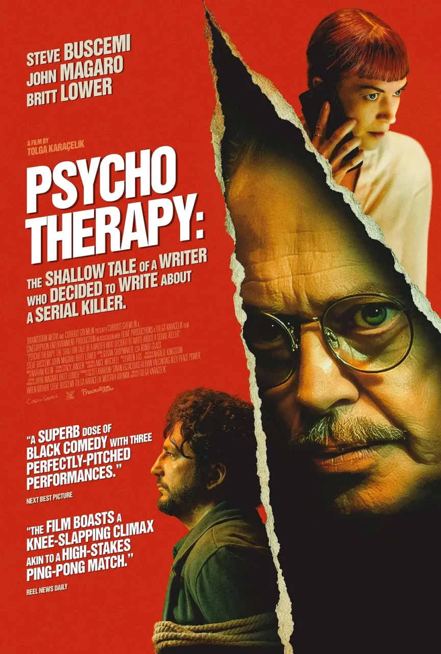 一个决定写连环杀手的作家的浅薄故事海报