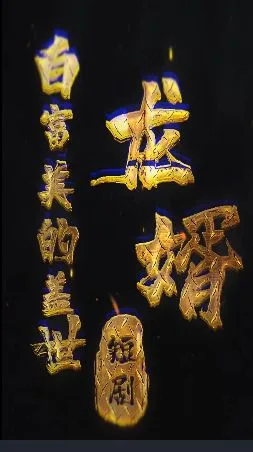 白富美的盖世龙婿海报