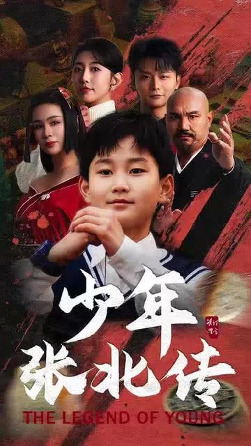少年张北传海报