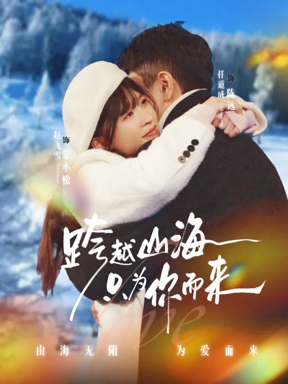 跨越山海只为你而来海报