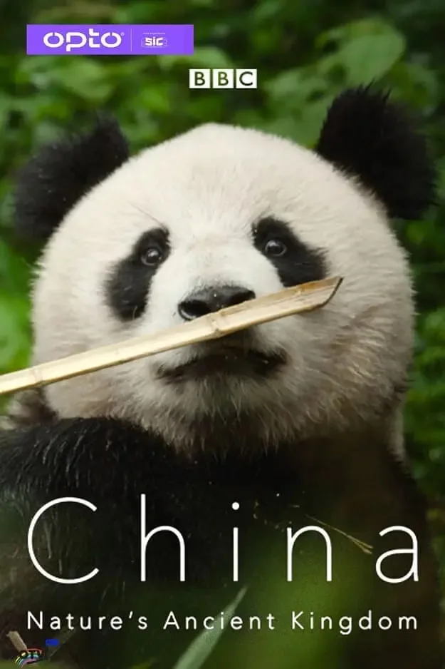 中国：大自然的古老王国 第一季海报