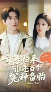 重生归来谁还当个冤种备胎海报