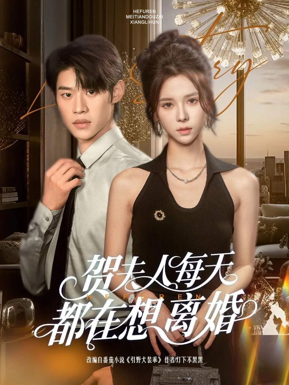 贺夫人每天都在想离婚海报